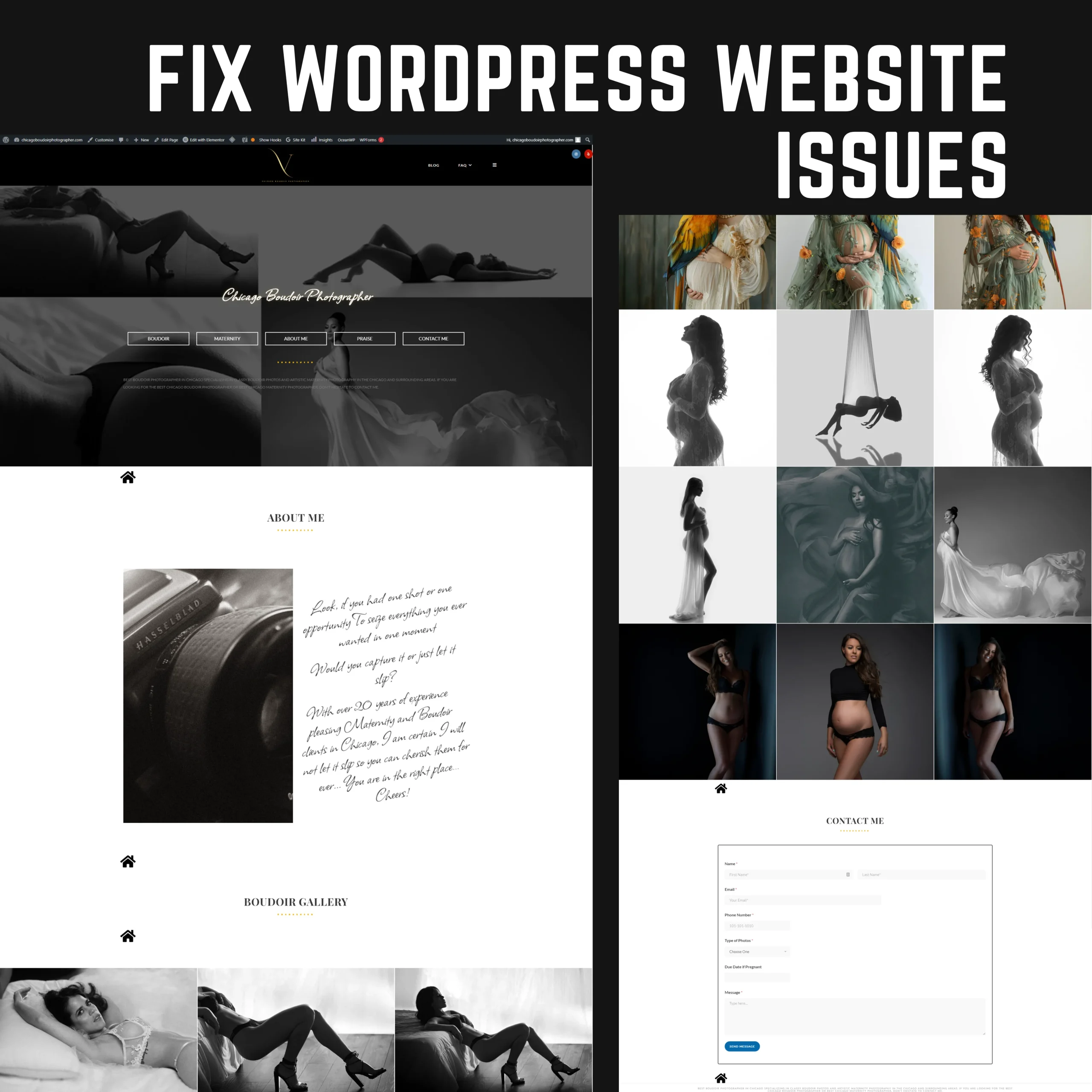 Fix WordPress Website Issues